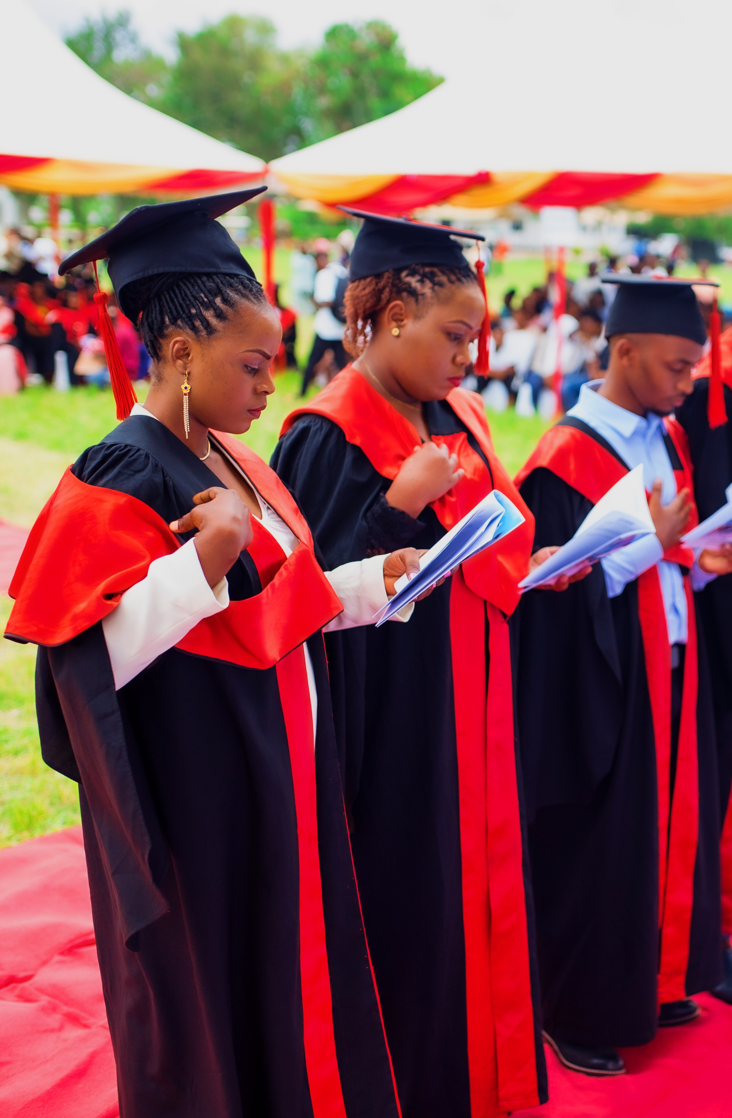 Students in professional environment